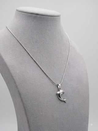 Dolphin